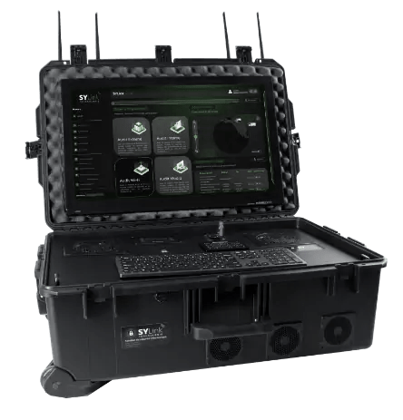 SYLink audit case